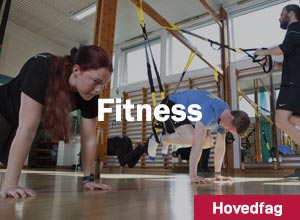 Hovedfag_Fitness